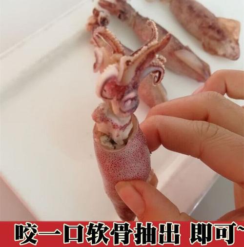 满籽海兔新鲜海兔子笔管鱼鲜活籽乌小鱿鱼八爪鱼墨鱼小海兔子海鲜
