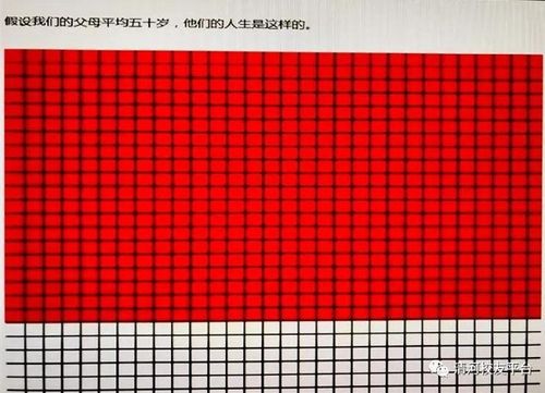 认真涂完生命的格子
