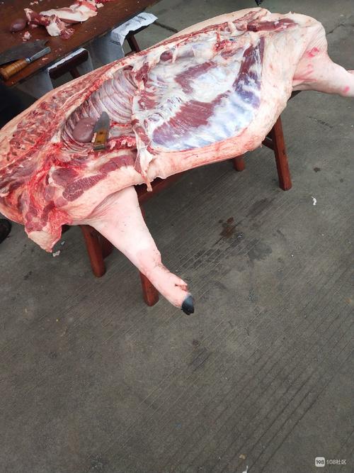 这星期六12月29号杀一头养了一年多的黑猪,排骨带肉猪肉18元一斤,猪蹄