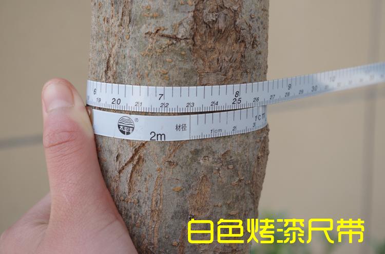 jing ping厂家2米测树钢围尺量树胸径卷尺量周长得直径圈尺子园艺工具