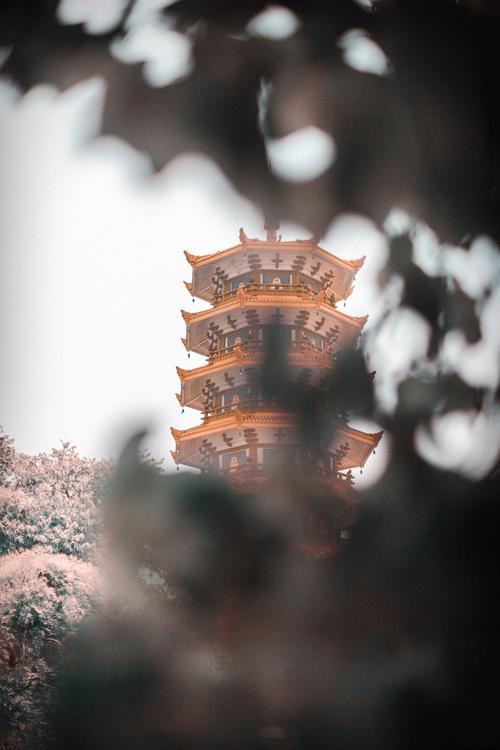 飞来峰上千寻塔,闻说鸡鸣见日升. 不畏浮云遮望眼,只缘身在最高层.