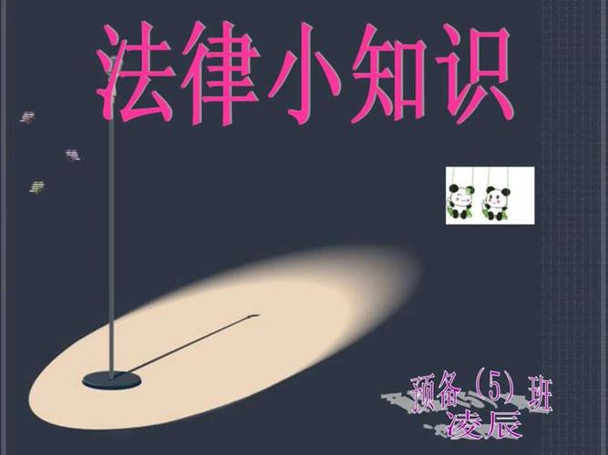 《法律小知识》ppt课件