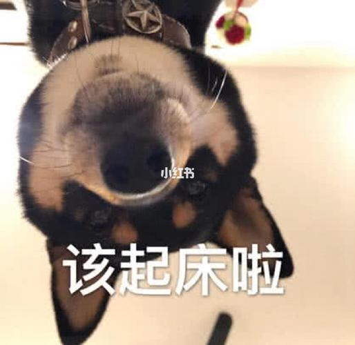 有时候,深夜,我还是会想起_表情包_素材_表情包