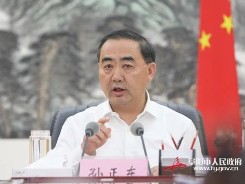 阜阳合肥现代产业园区党工委第一书记,免去其阜阳市人民政府市长职务