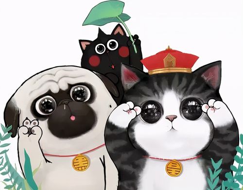 领克发放吾皇万睡邀请您和领克一起撸猫