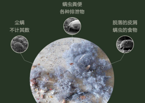 床铺上有螨虫怎么办?简单实用的除螨小妙招分享