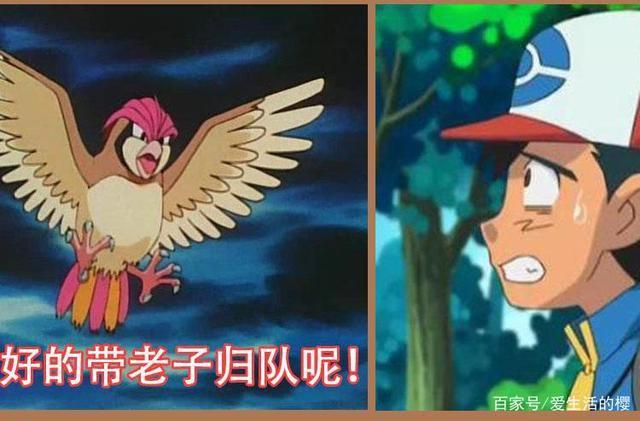 宝可梦动画走过了20年,比雕也等了小智20年