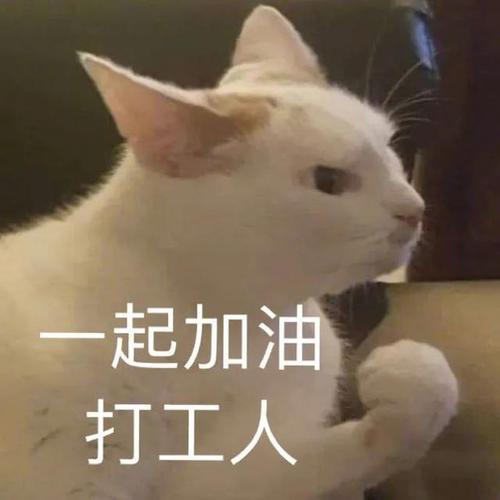 聊天表情包|一起加油,打工人