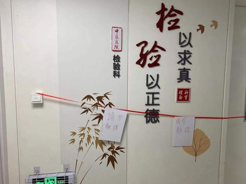 检验科文化墙激发正能量,助力6s冲刺!