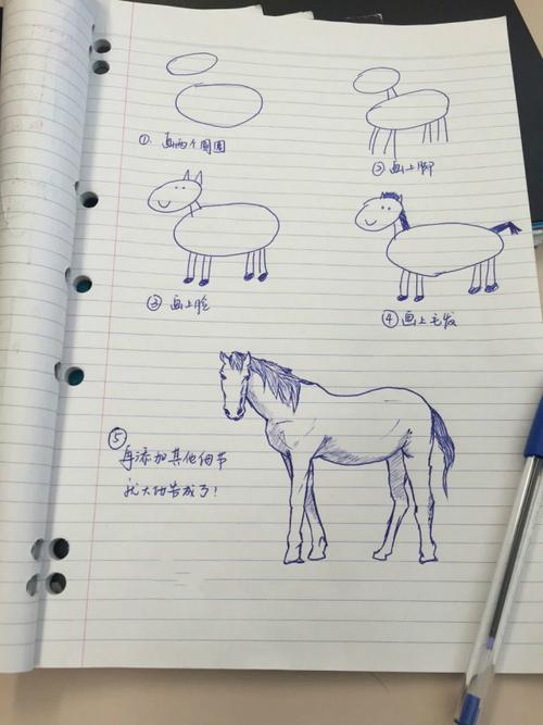 首页 技术  如何画马以及马的简笔画步骤图? 这个是教程.