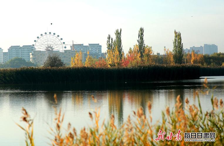 张掖润泉湖公园秋景如画