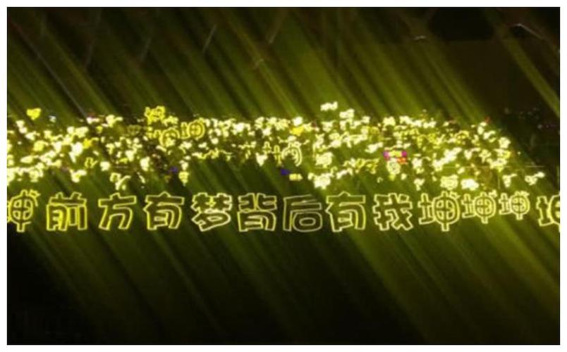 首先来看看蔡徐坤的应援色吧.