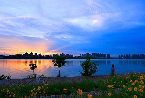 网友镜头下的常德柳叶湖"超唯美"