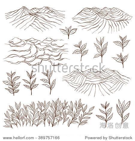 我家的茶园简笔画