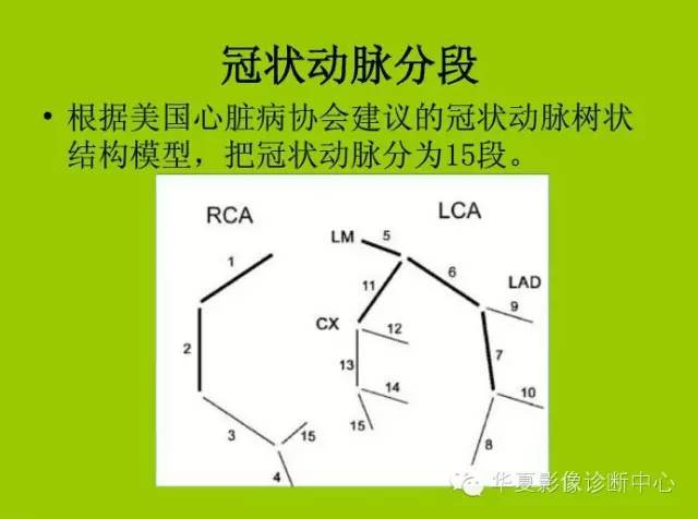 冠状动脉解剖,分段及基本疾病诊断