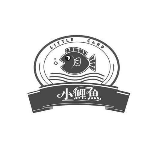 深圳市小鲤鱼科技有限公司