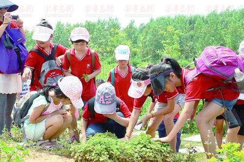 学生们在香草文化博览园进行户外科普活动.