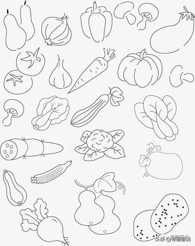 儿童画简笔画临摹素材52张水果系列画法收藏备用在家学画画