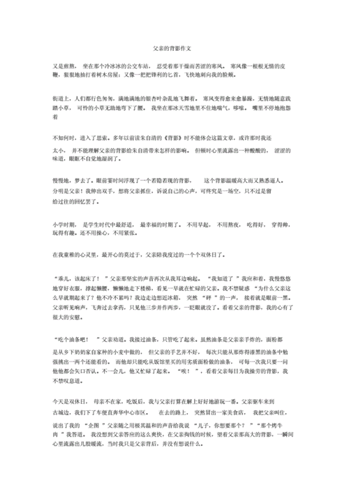 父亲的背影作文全面版.docx 3页