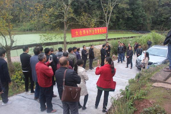 湖南怀化市沅陵县大合坪乡召开龙虾养殖经验交流现场会
