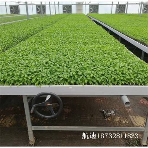 岑溪耐温育苗床-移动潮汐苗床定制-温室育苗工具