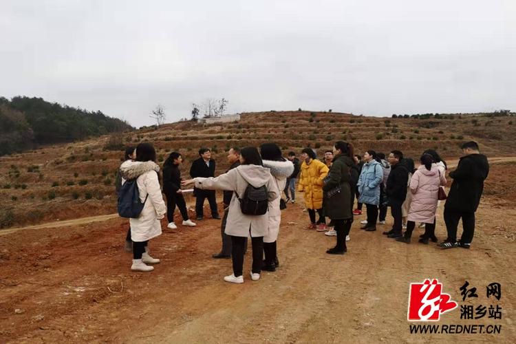 毛田镇:学院调研助力毛田茶叶产业发展 - 红网湘乡站