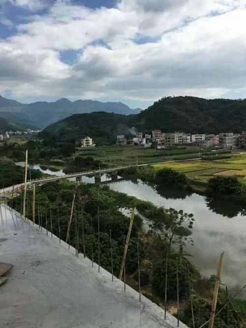 广东省本地商家茂名市本地商家高州市本地商家新垌镇本地商家