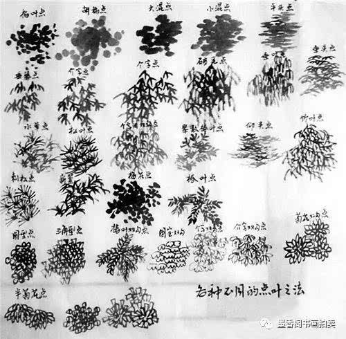 【2】树叶的画法 中国山水画中树叶的画法,可以分为点叶法和勾叶法.