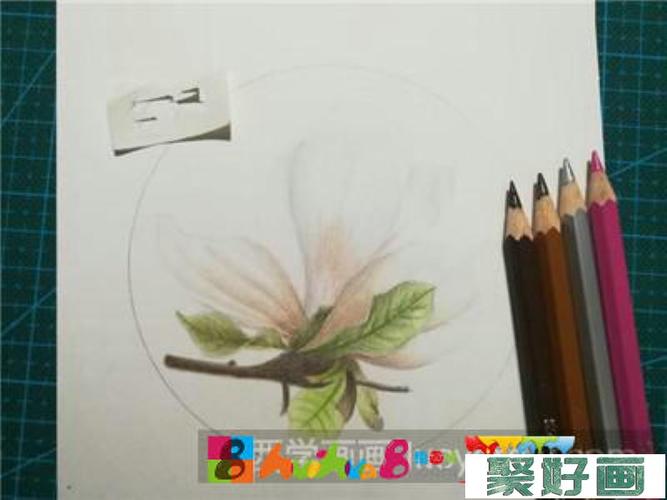 彩铅画教程:教你画玉兰花