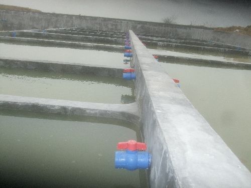 孵化池_眉山名优鱼苗|四川名优鱼|名优鱼养殖基地