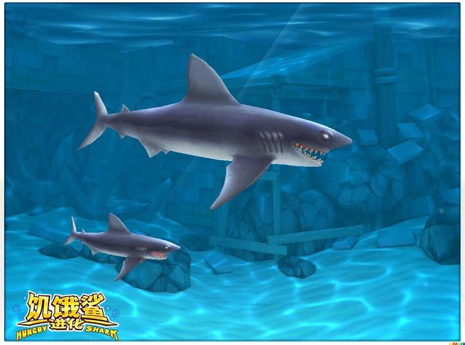 其它 饥饿鲨,进化 写美篇  这是玩这个游戏得到的第二条鲨鱼__灰鲸鲨