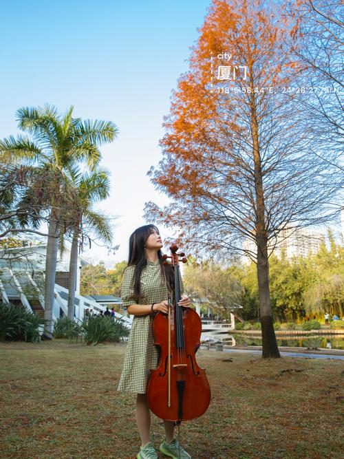 厦门南湖公园 落羽杉 拉大提琴的少女_大提琴_健身_健身日常_出行