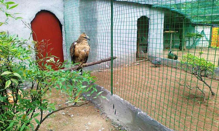 游玩景点义乌市稠州公园 义乌稠州公园动物园是义乌或浙中范围动物