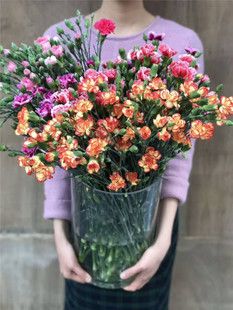 鲜切花 康乃馨批发 多头康乃馨 小白菜 母亲节 礼物 基地直销