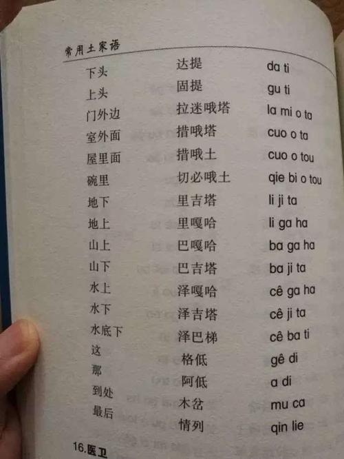 土家族原本有自己的文字和语言 但是至少在三代以上,就已经消失不用