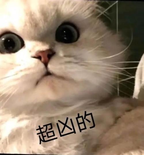 敲敲门超大霸屏熊猫头表情包