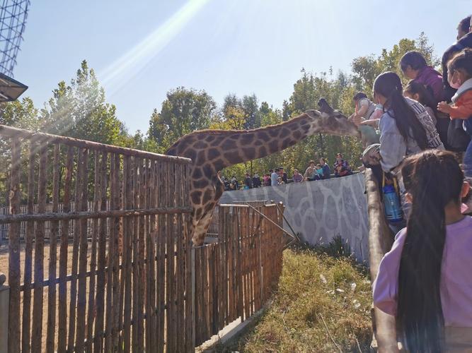 聊城滨河动物园