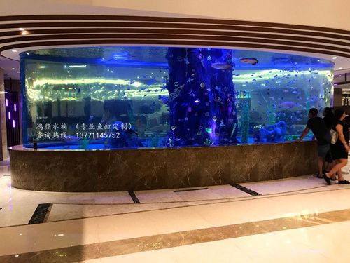 海安大型鱼缸定做亚克力水族工程