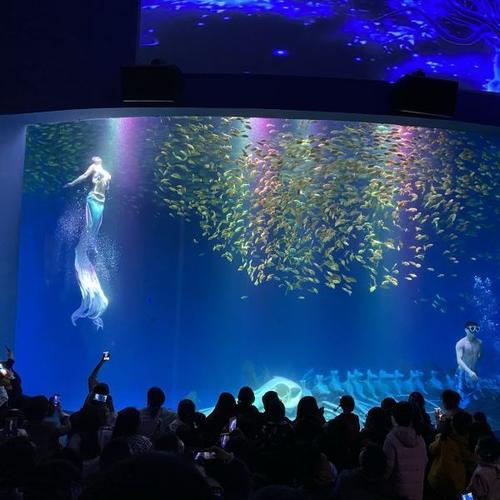 合肥海洋世界