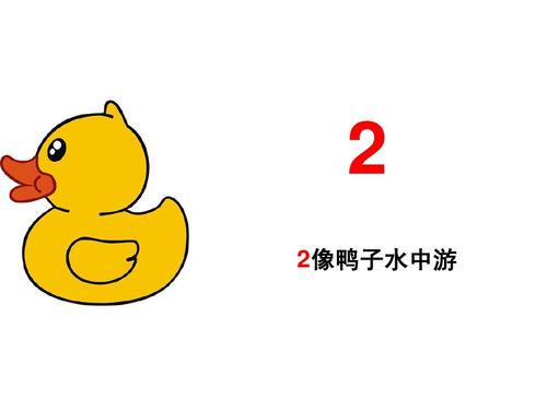 2 2像鸭子水中游