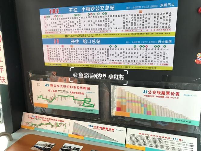 不一样的深圳观光巴士"红胖子"之旅(1)_海滨_游玩_沙头角_大梅沙_莲塘