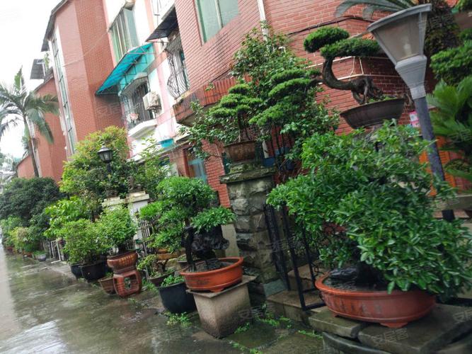 半山花园,花卉园东路143号-重庆半山花园二手房,租房