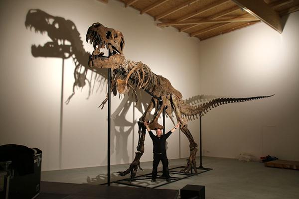 12米暴龙化石来港首展