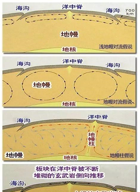 磁场除印度洋中脊西南支外,各大洋中脊均有磁异常条带分布.
