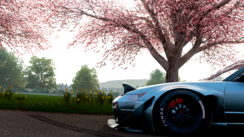 (樱花 花海 篇)极限竞速 地平线4个人摄影作品分享