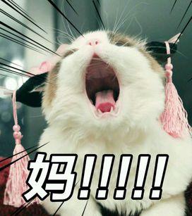 祖国妈妈表情包