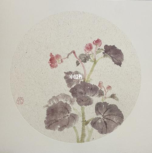 海棠花写生_海棠花_写生_国画_写意国画_文化_绘画