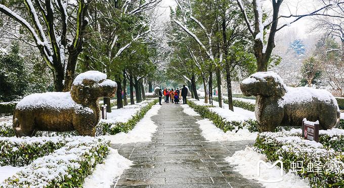 去南京中山陵,认真地看一场雪