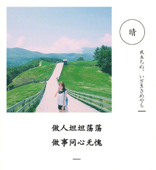我不聪明,但我肯定不傻. 很多事,我都能看明白.只是不想说而已.