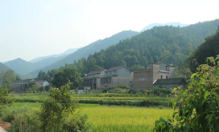 (王四清摄于宜秀区罗岭镇凤溪社区,杨桥镇溪安村)